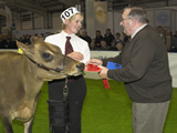 JERSEY CHAMPION COW AGRISCOT 2010